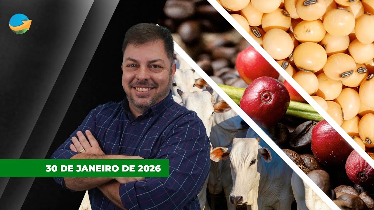 Arroba do boi emplaca terceira alta seguida em SP; alta do dólar faz preço da soja recuar em Chicago