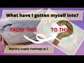Mystery supply challenge part 2 | What did I get myself into?
