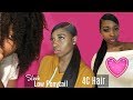 Low SLEEK PONYTAIL on 4C hair | Protective Style *DETAILED*