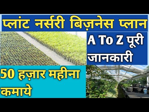 plant nursery business plan in hindi