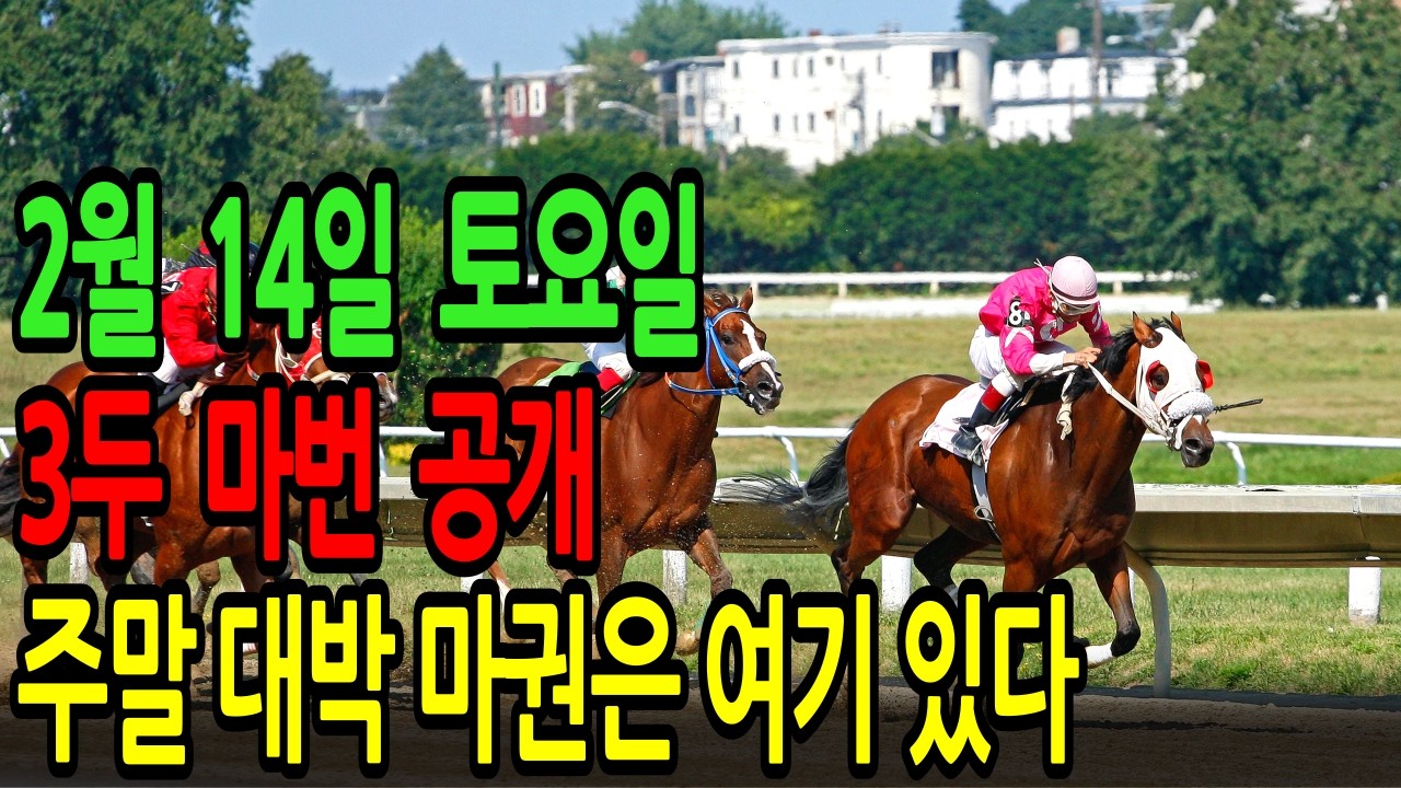 2월 14일 토요일 경마~“주말 대박 마권은 여기 있습니다 ”ㅣ승전경마 전문가의 이변 포착 l 경마 l 경마예상 l 코리아레이스 l 검빛경마 ㅣ경마정보