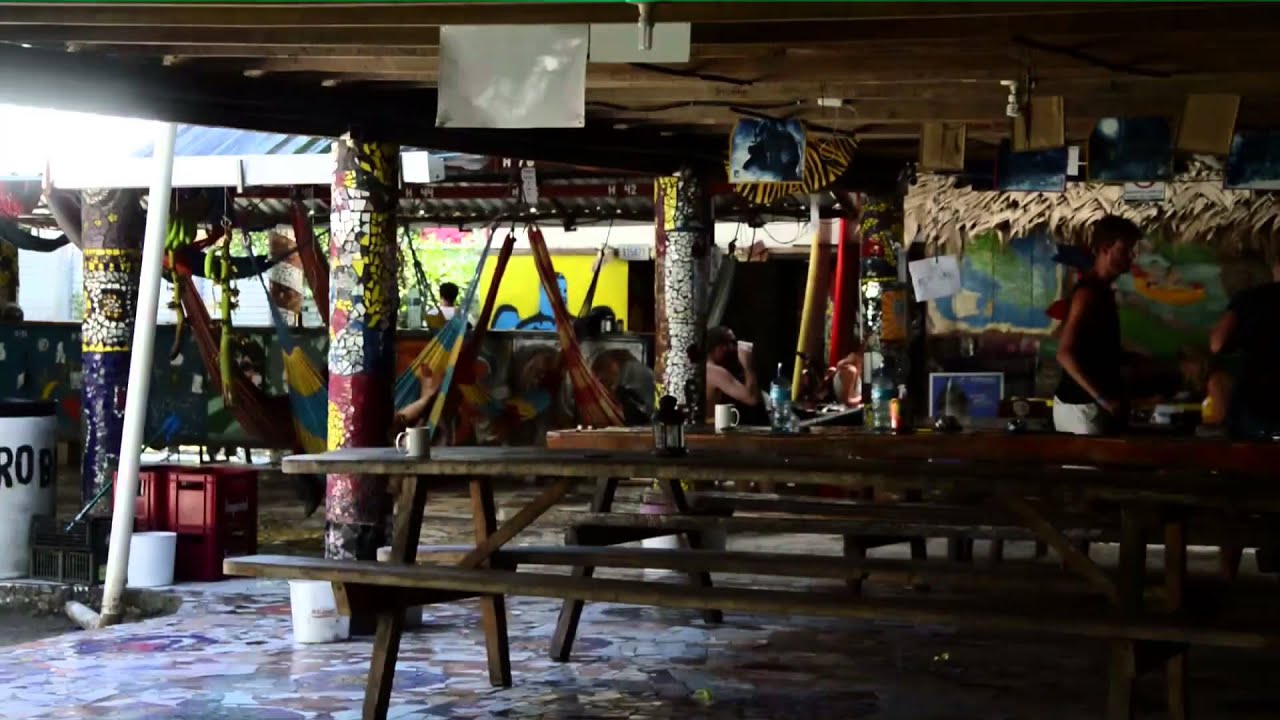 puerto viejo hostels puerto viejo hostels