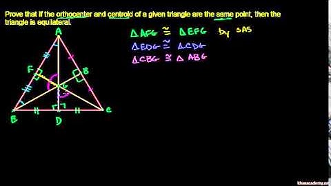 Common orthocenter and centroid
