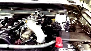 2010 FJ Cruiser Diesel