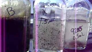 Oily water separation.AVI