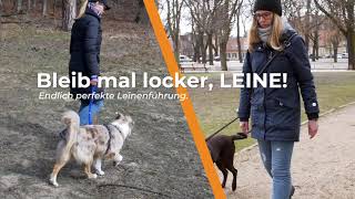 Hund zieht an der Leine I Coming soon: Online Kurs zur Leinenführigkeit shorts