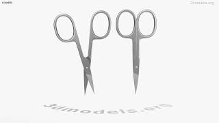 Nail Scissors 3D model by 3DModels.org