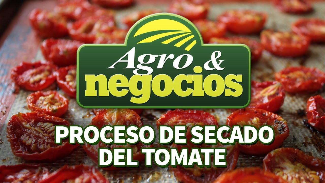 Proceso de secado del Tomate