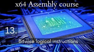 x64 Assembly course: 13. Bitwise logical instructions Profile