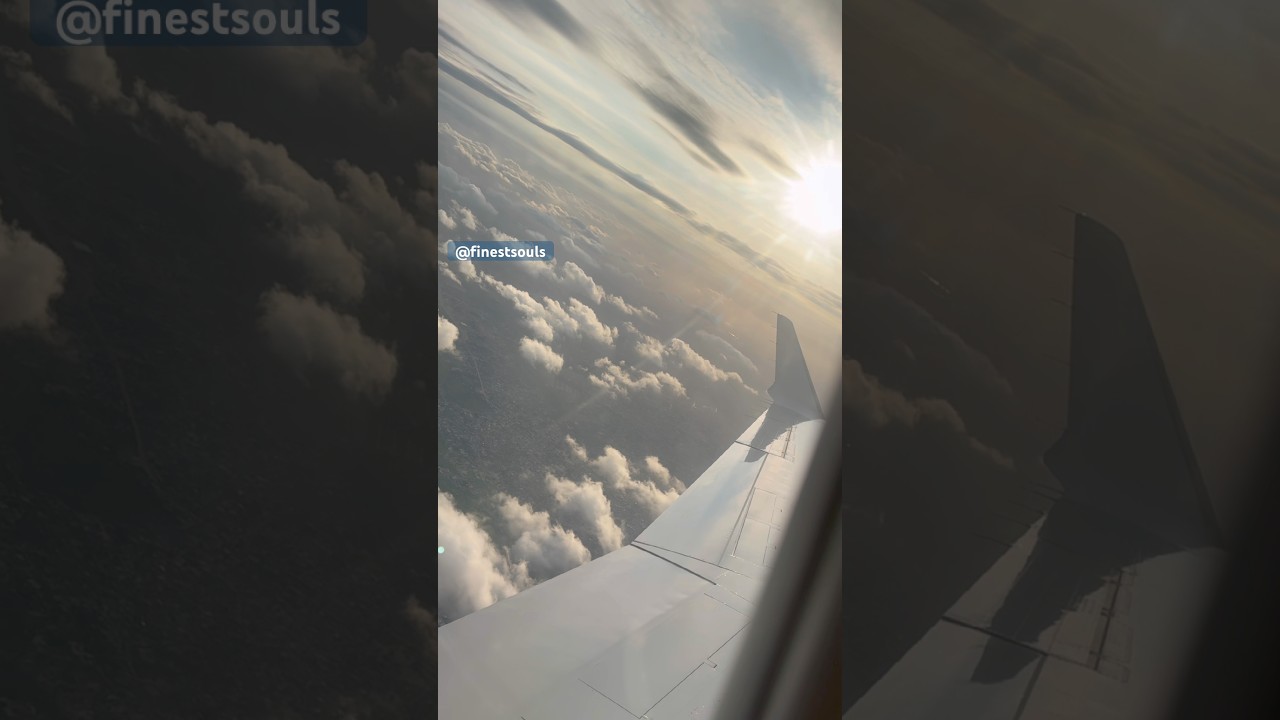 The Journey begins #aeroplane #skyview #flight #finestsouls #shorts #subscribe