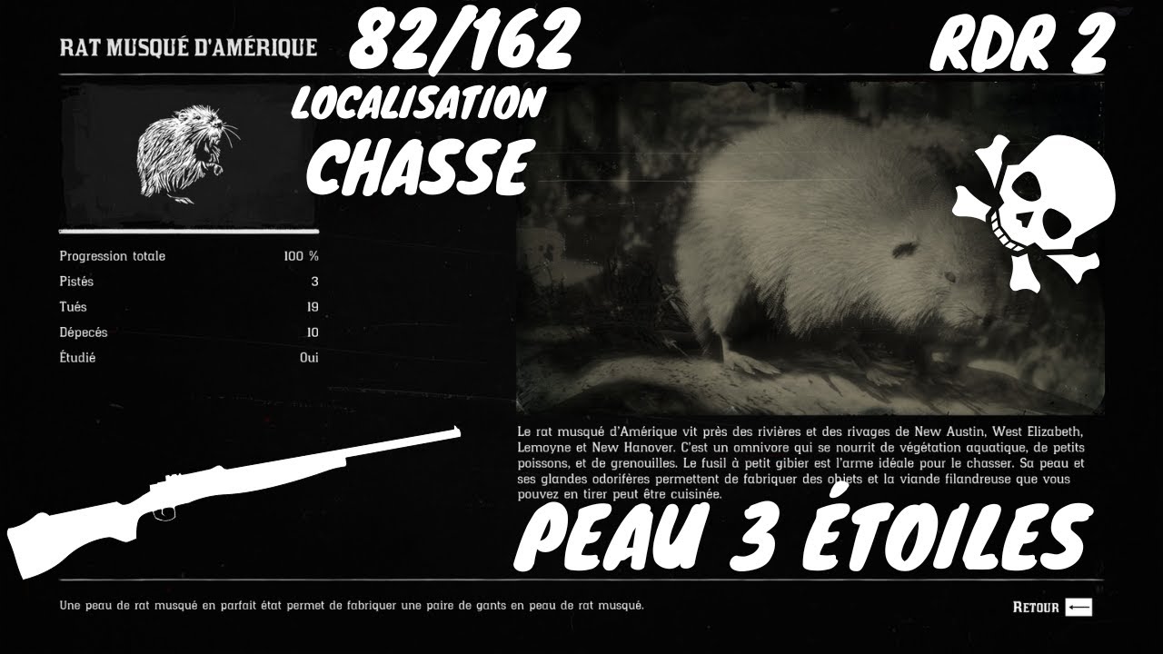 Tout Les Animaux: 82/162 Le Rat Musqué D'Amérique (Localisation) Red ...