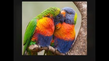 [Jigsaw HD][Happy Pack][13][HEVC][1080p]