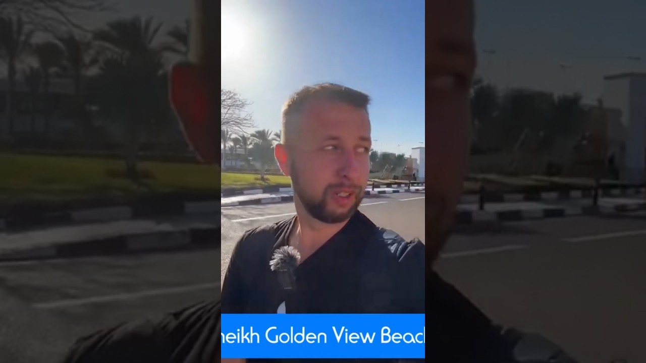 Новый обзор 