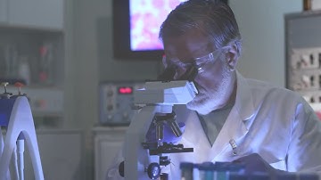 Exploring large multi-channel and time series with Amira Software