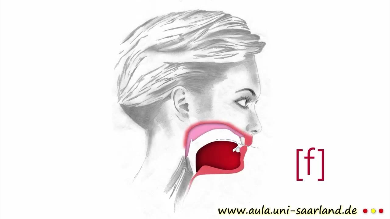 PRONUNCIACIÓN DE LA F (FRICATIVA LABIODENTAL SORDA) (ej. Francia) YouTube