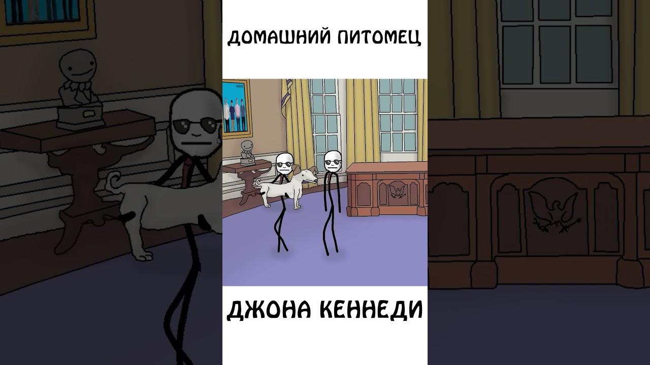 ⁣Домашний питомец президента Джона Кеннеди #животные #сэмонелла #авызналиэто #шортс #собаки #кеннеди