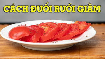 5 Cách Đuổi Ruồi Giấm Siêu Hiệu Quả Tại Nhà!