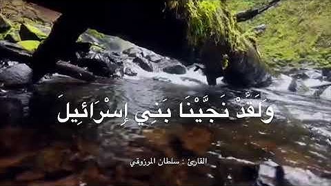 عشائية مؤثرة من أواخر سورة الدخان ، للقارئ: سلطان المرزوقي