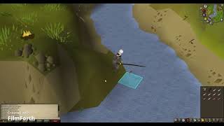 How Much You Can Make 1 Hour By Fishing Trout And Salmon OSRS