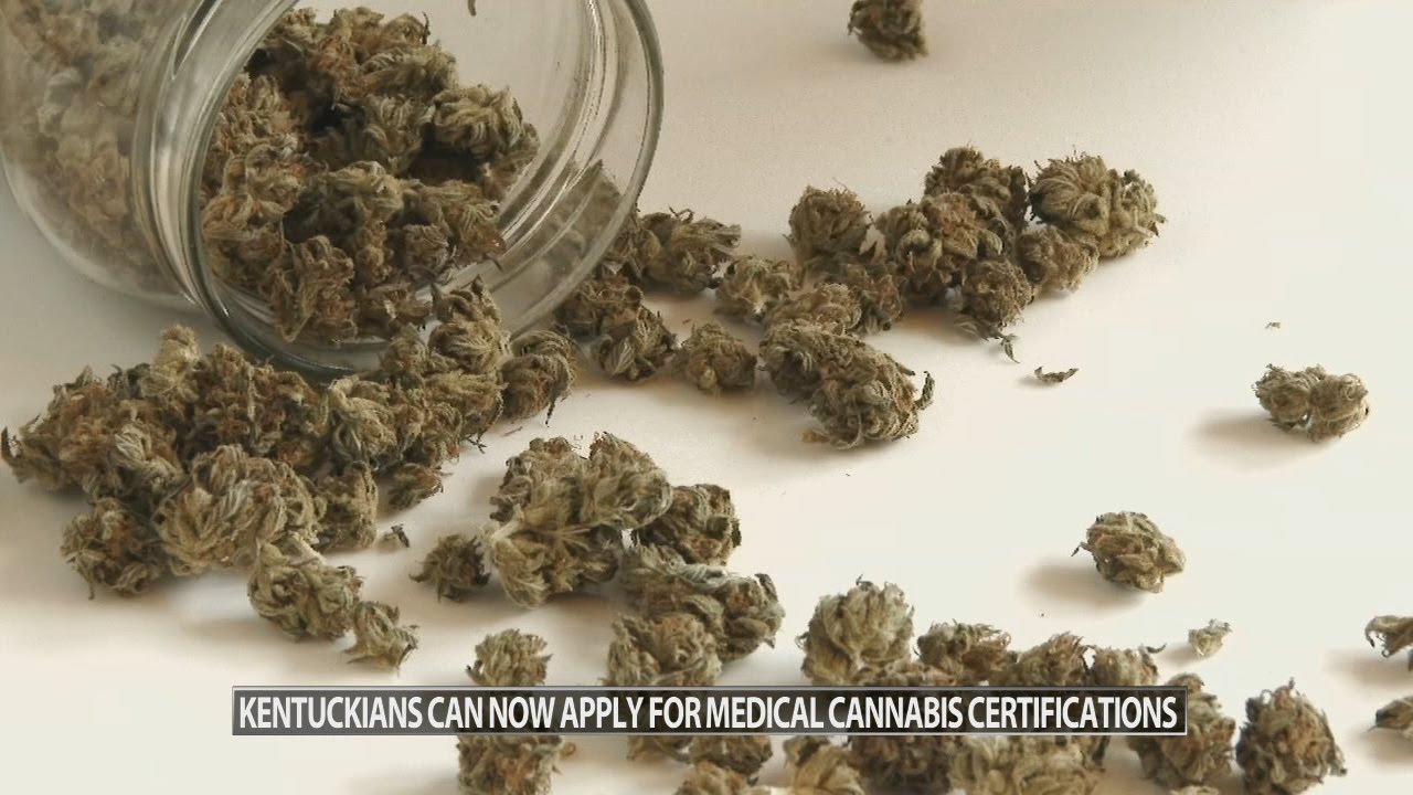 Kentuckians can now get certification to apply for medical marijuana card in 2025