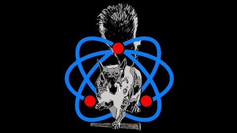 Whites V3i and the Detech Ultimate 13 Coil