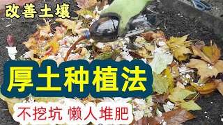 不挖坑不费力不花钱的懒人堆肥, 厚土种植法 No dig gardening/Sheet composting/Blanket composting