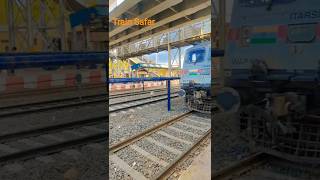 train Safar😮 #shorts #train #trendingshorts #youtubeshorts #wildlife #animals #ytshorts #nature #new