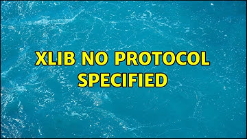Xlib: No protocol specified