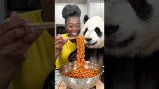 yo bro look at the panda is eating