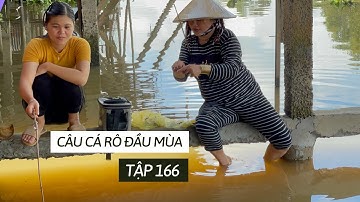 Tập 166 - Câu Cá Rô Đồng, Dưới Bến Sông Cá Rô Nhiều Kinh Khủng Thả Mồi Xuống Là Ăn Liền