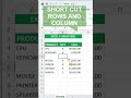 Boost Excel Speed ⚡ | Insert Rows &amp; Columns Shortcut (Alt + H + I + R &amp; C)