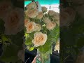 @YouTube @VisitQatar