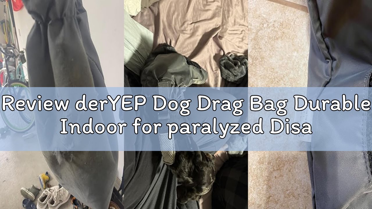 Review derYEP Dog Drag Bag Durable Indoor for paralyzed Disabled Back Rear Legs Dog Protects Chest a