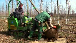 Die Sendung mit der Maus: Ein Baum (Teil 4/4)