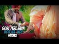 Mere Wala Sardar Whatsapp Status Video Whatsapp Status Video Download Free