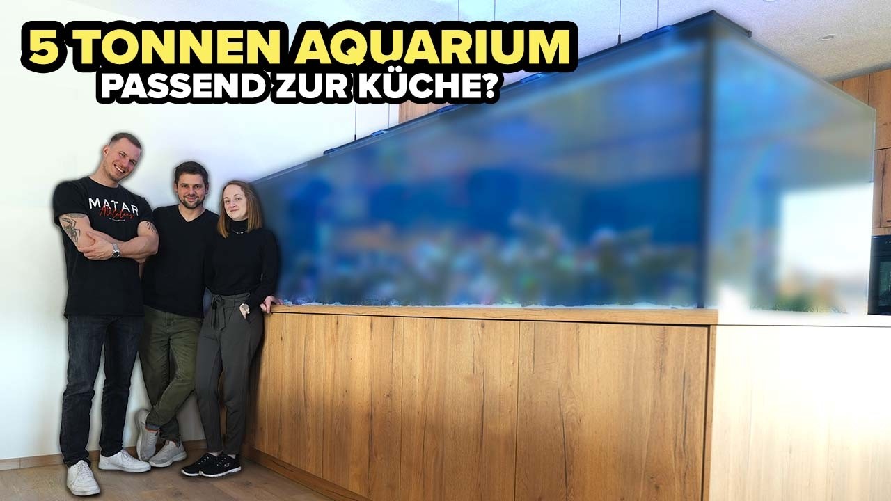 ANFÄNGERPROBLEME im 5 TONNEN AQUARIUM?!