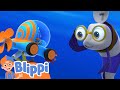 Blippi Wonders! Sharks&#39; Teeth | Learning Videos For Kids | Education Show For Toddlers