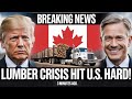 Trump Declared “We Don’t Need Canada’s Lumber” — Now the U.S. Is Suffering the Backlash!