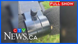 Sask. dealing with abundance of mosquitoes | CTV News Saskatchewan Your Morning for July 15