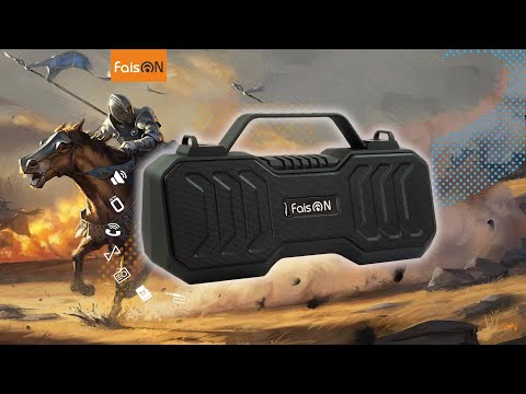 Колонка портативная FaisON, SPNR-4500, пластик, Bluetooth, FM, TF, SD, TWS, USB, AUX, цвет: чёрный