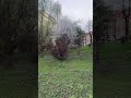 Нарешті весна 👍👍👍