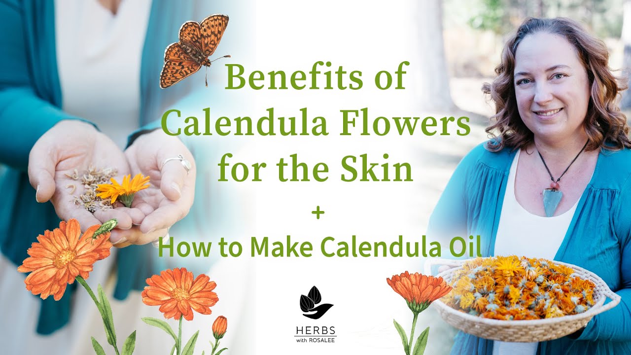 Calendula Oil - Avena Botanicals