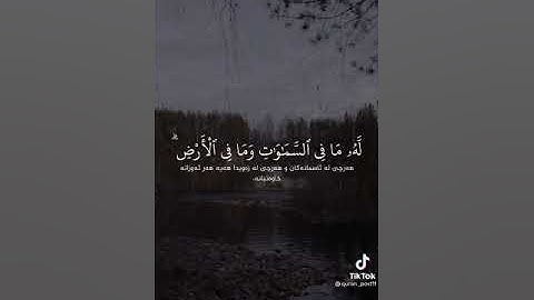 قران كريم بصوت جميل جدا جدا راحه نفسيه 💖 لا إله إلا الله محمد رسول الله ❤️ صلى على سيدنا محمد  😘