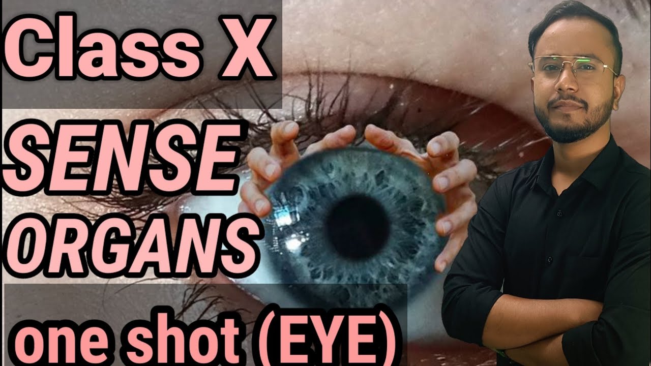 Sense Organ | ICSE class 10| Sense organs one shot of Eye # ...