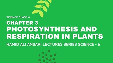 Science Class 6 Chapter 3 Photosynthesis and Respiration in Plants #Photosynthesis #Respiration