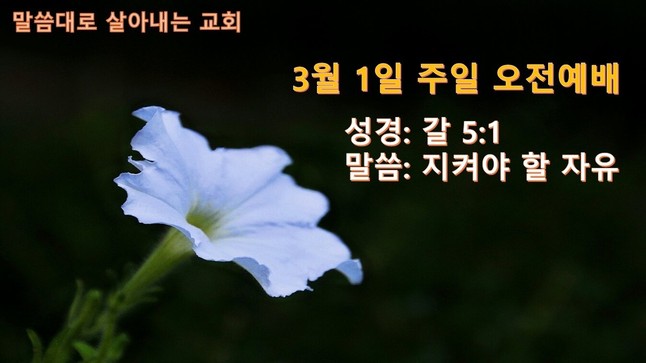 목포제일교회 온라인 예배