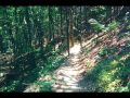 Don&#39;t fall down on the Appalachian Trail (Hiking tips Pt. 17)