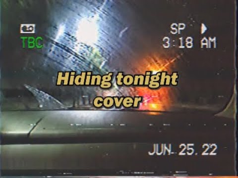 hiding tonight - alex turner (cover)