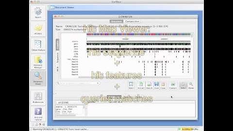 KoriBlast: mapping Blast Hits on a Reference Sequence