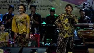 kawin kontrak - niken salindri ft bambang balowo campursari mayangkara